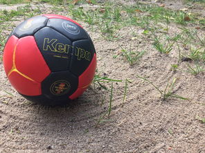 mk体育app-英超球队基于运动表现数据调整赛中体能分配策略，英超球队规则