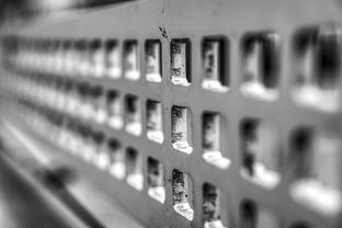 mk体育平台登录入口-青少年体质监测结果区域对比研究，青少年健康体质检测中心